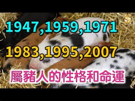 1995屬豬|生肖豬: 性格，愛情，生肖1995，2007，2019